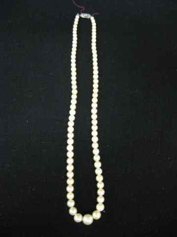 Appraisal: Pearl Necklace graduated to mm '' long k white gold