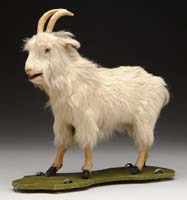 Appraisal: GERMAN GOAT ON WHEELED PLATFORM An enchanting fellow with open