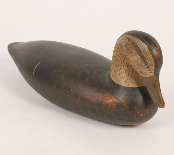 Appraisal: Preening black duck decoy paper label indicates it was made