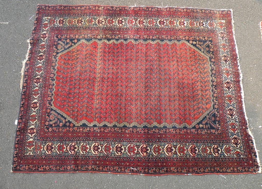 Appraisal: A Persian type rug with a design of botei on