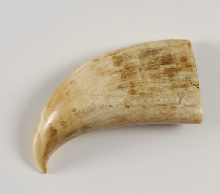 Appraisal: SCRIMSHAW WHALE'S TOOTH th CenturyObverse depicts a whaling scene with