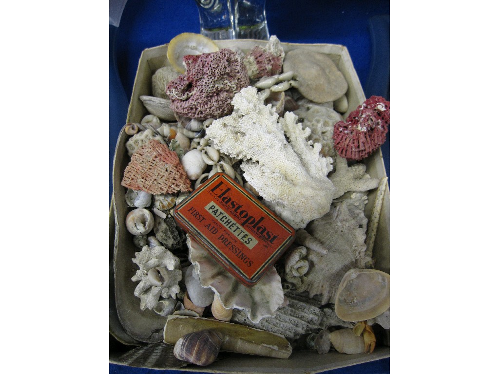 Appraisal: Lot comprising assorted shells coral pebbles etc