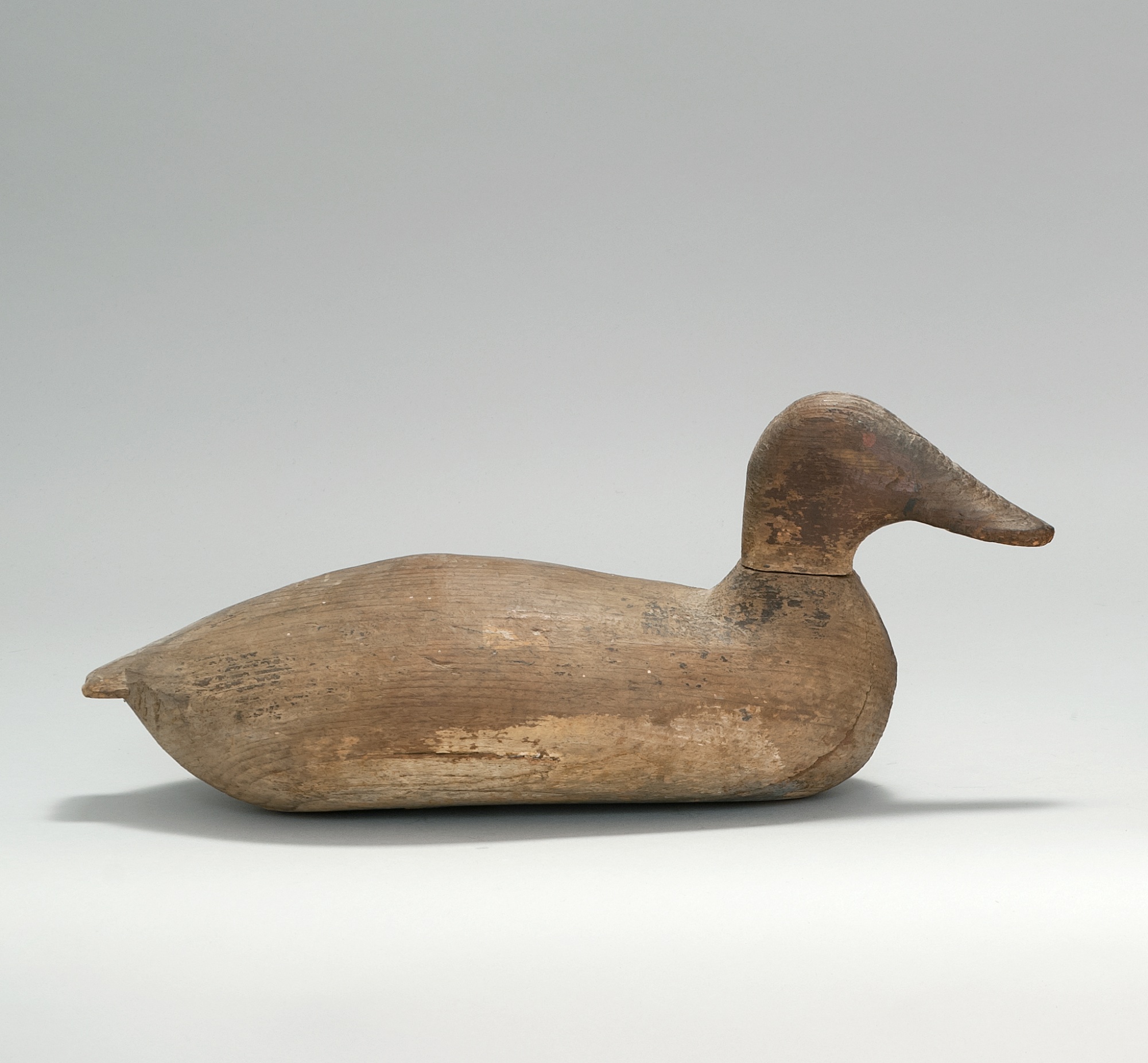 Appraisal: CANVASBACK DRAKE DECOY From Maryland Maker unknown Shows traces of