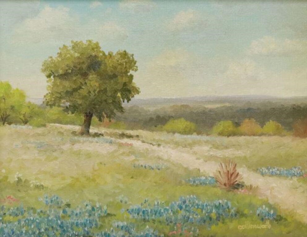 Appraisal: Framed oil on canvas painting Texas Bluebonnets signed lower right