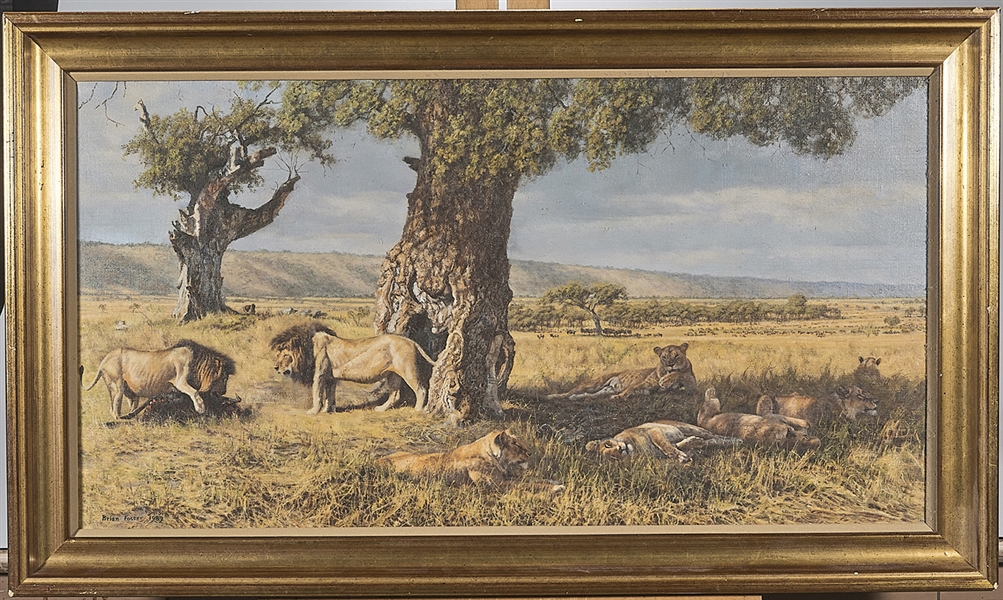 Appraisal: Oil painting by Brian Foster Lions in the Serengeti signed