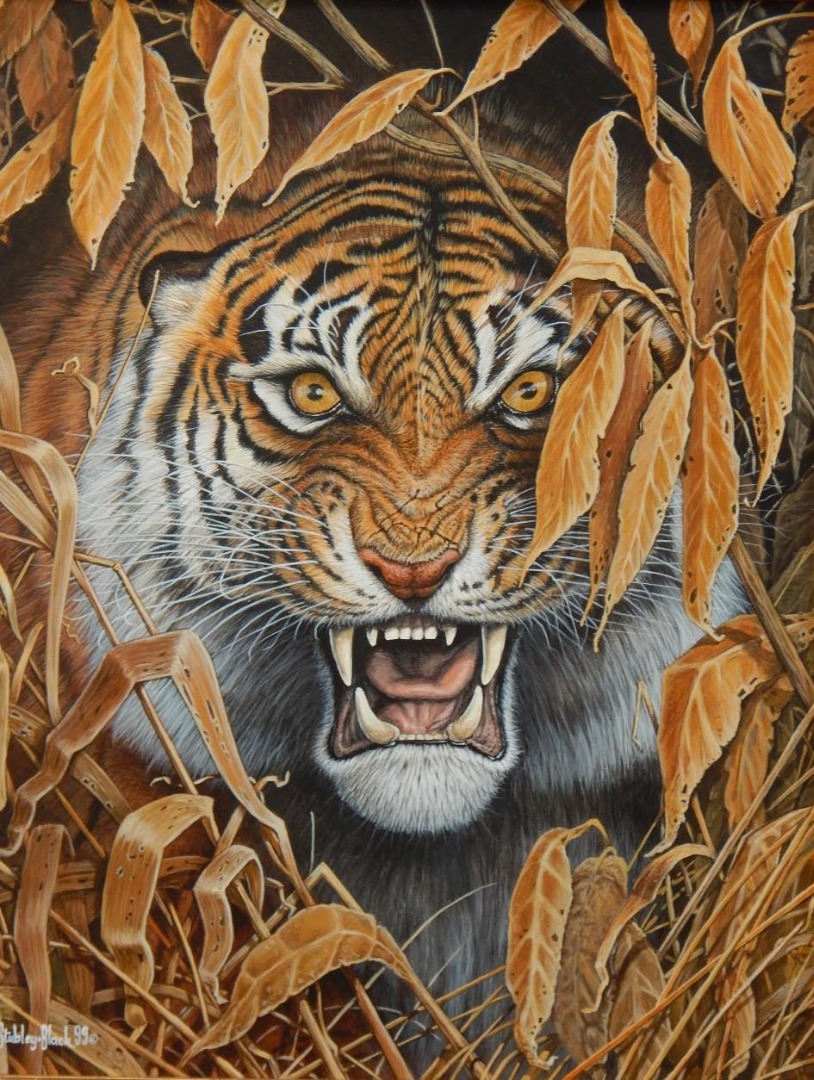 Appraisal: Sean Stubley-Black Head of a tiger oil on canvas signed