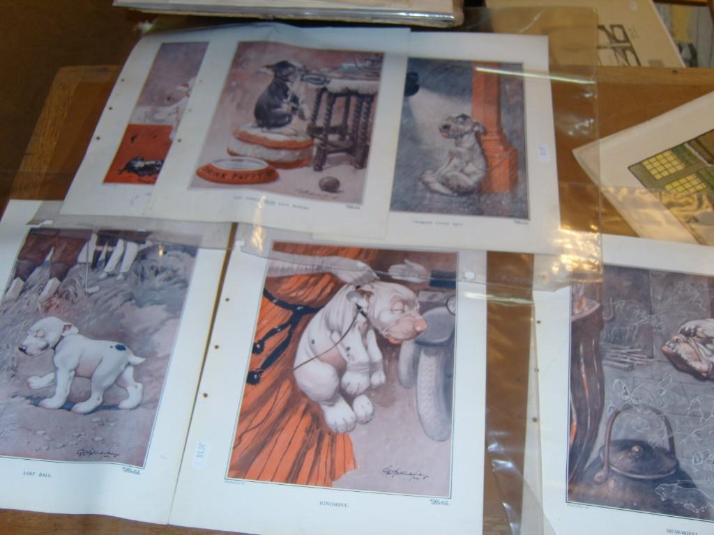 Appraisal: A collection of seven un-framed coloured prints after George Studdy