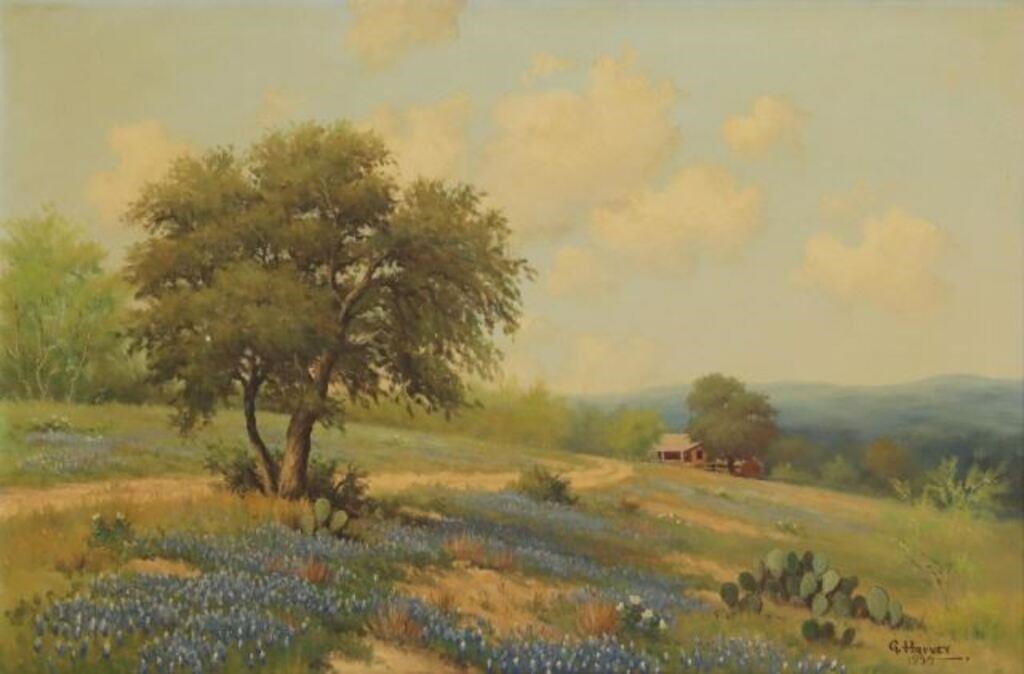 Appraisal: Framed oil painting on canvas Bluebonnets and Cactus signed lower