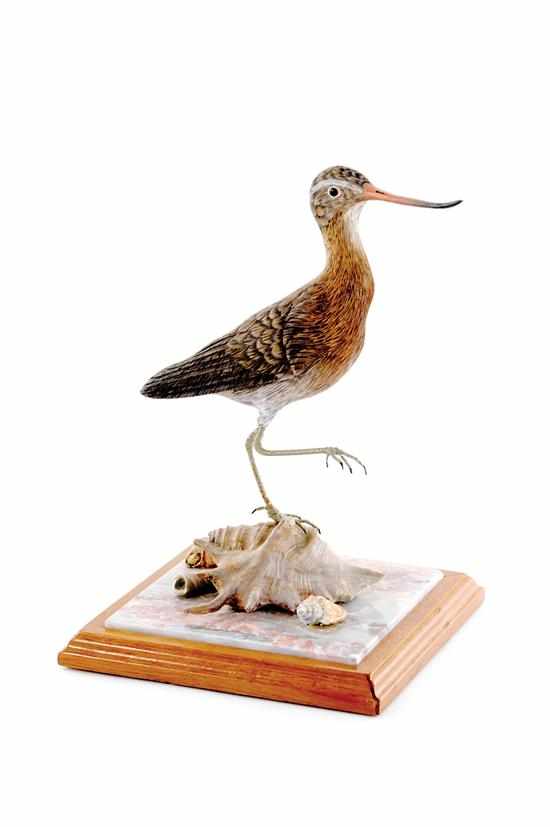 Appraisal: James R Maples South Carolina th century GODWIT painted carved