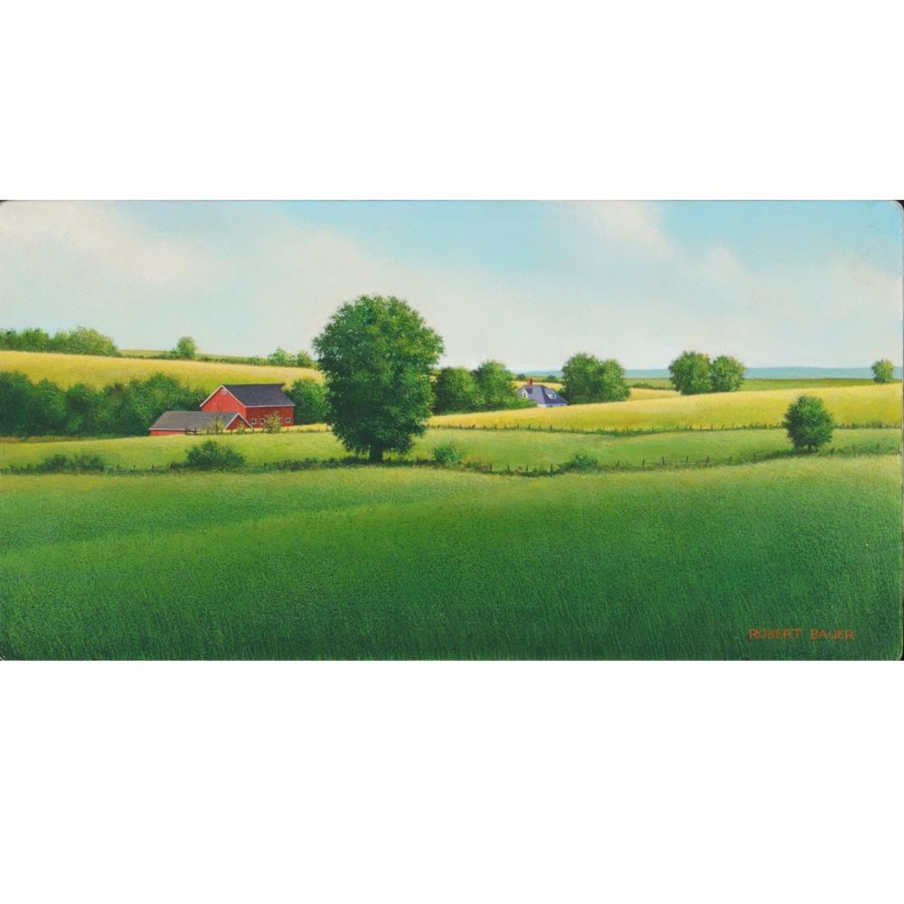 Appraisal: ROBERT BAUER NEW YORK RHODE ISLAND IOWA BORN JOHNSON COUNTY