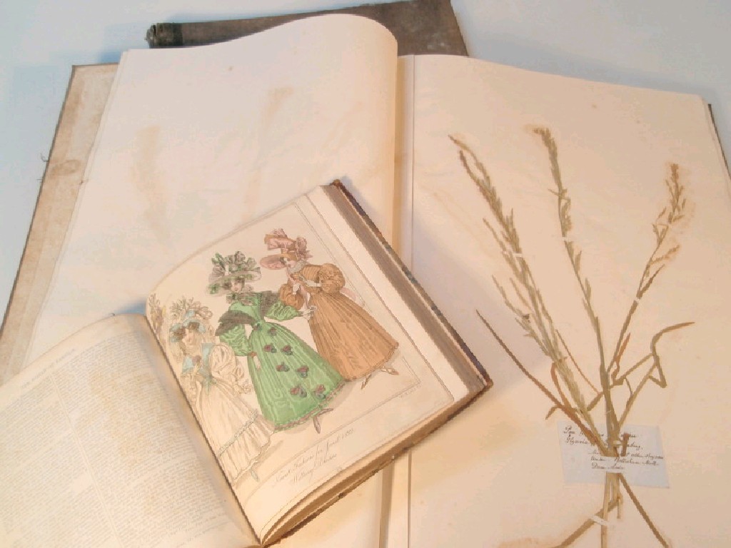 Appraisal: Two mid thC folios containing dried plant specimens printed and