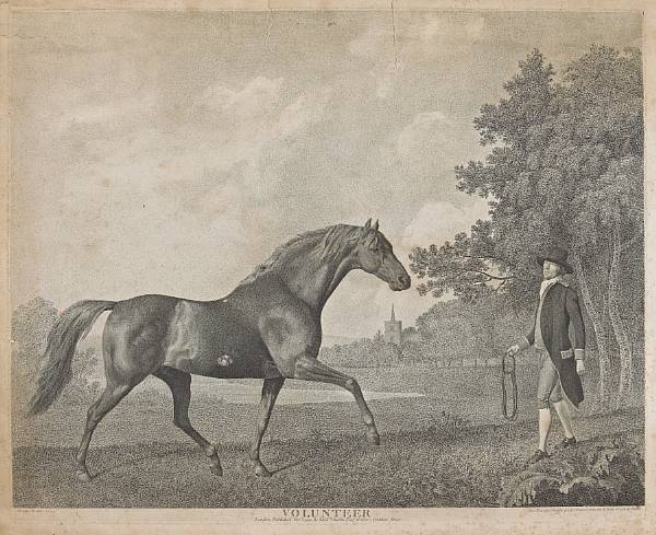 Appraisal: After George Stubbs British - by George Townly Stubbs Volunteer