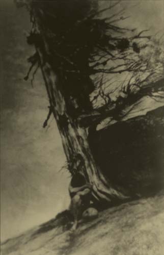 Appraisal: BRIGMAN ANNE - Armageddon Warm-toned silver print x inches x