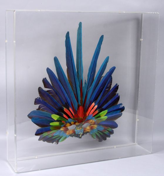 Appraisal: Arts and Crafts exotic feather mask in plexiglas case h