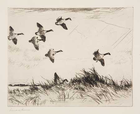 Appraisal: FRANK W BENSON Three etchings with drypoint Migrating Geese Third