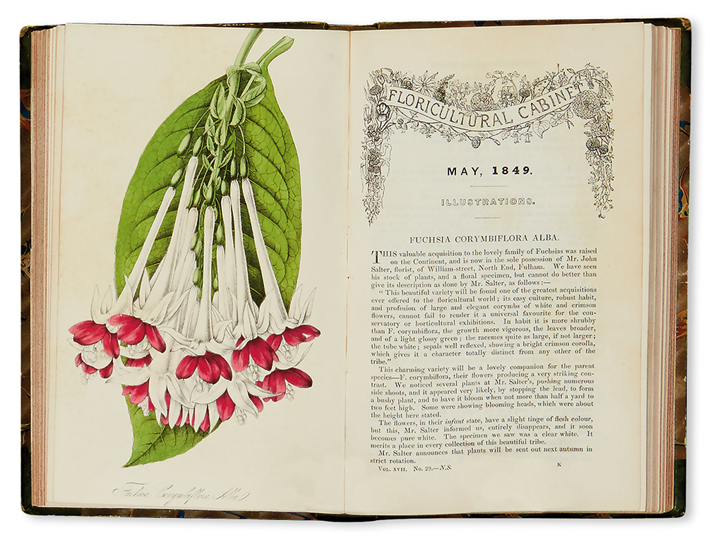 Appraisal: BOTANICAL Harrison Joseph Floricultural Cabinet volumes Profusion of hand-colored plates