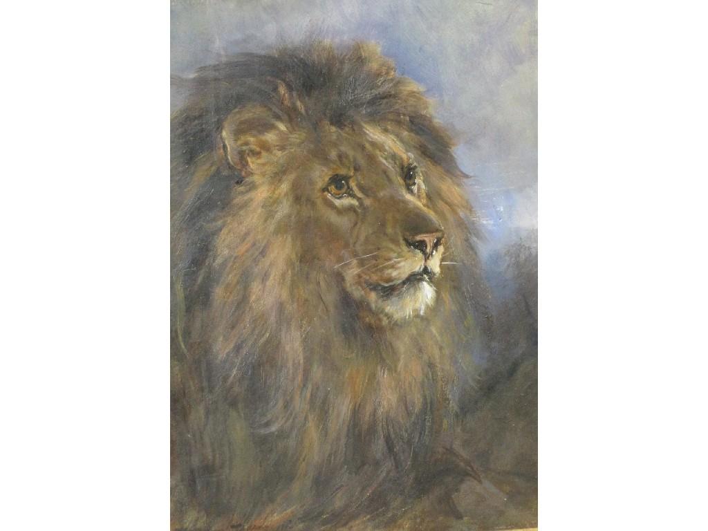 Appraisal: HEYWOOD HARDY - A Lionsigned ' Heywood Hardy' Lower right