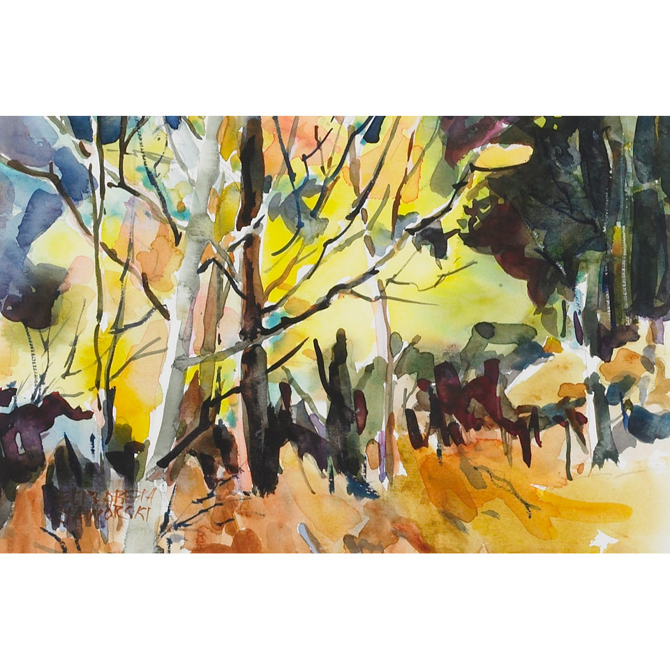 Appraisal: ELIZABETH JAWORSKI AUTUMN FOREST INTERIOR watercolour signed x cm x