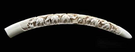 Appraisal: An ivory tusk carved with elephants th century signed A