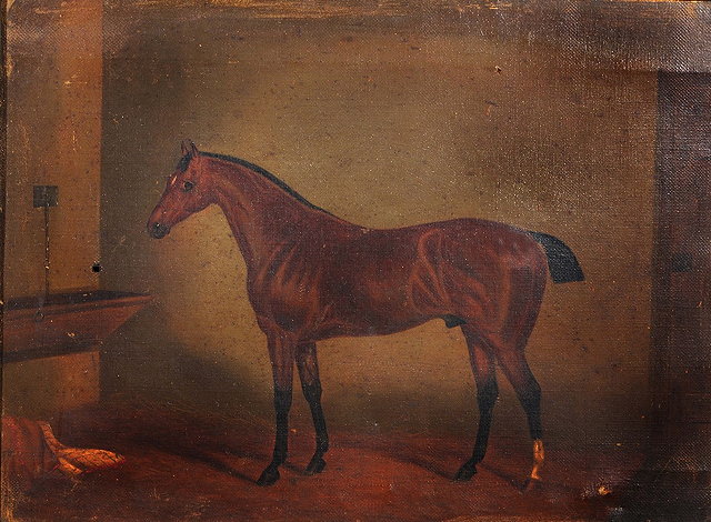 Appraisal: th Century English SchoolA racehorse in a stable oils on