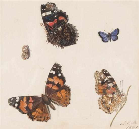 Appraisal: Arthur Gardiner Butler British th century Butterflies and Moths watercolor