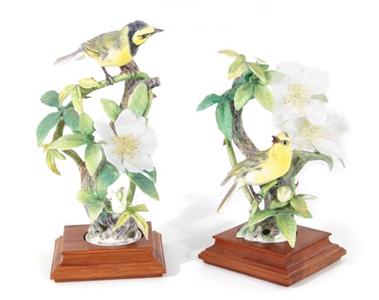 Appraisal: Pair Dorothy Doughty Hooded Warblers Royal Worcester dated with Cherokee