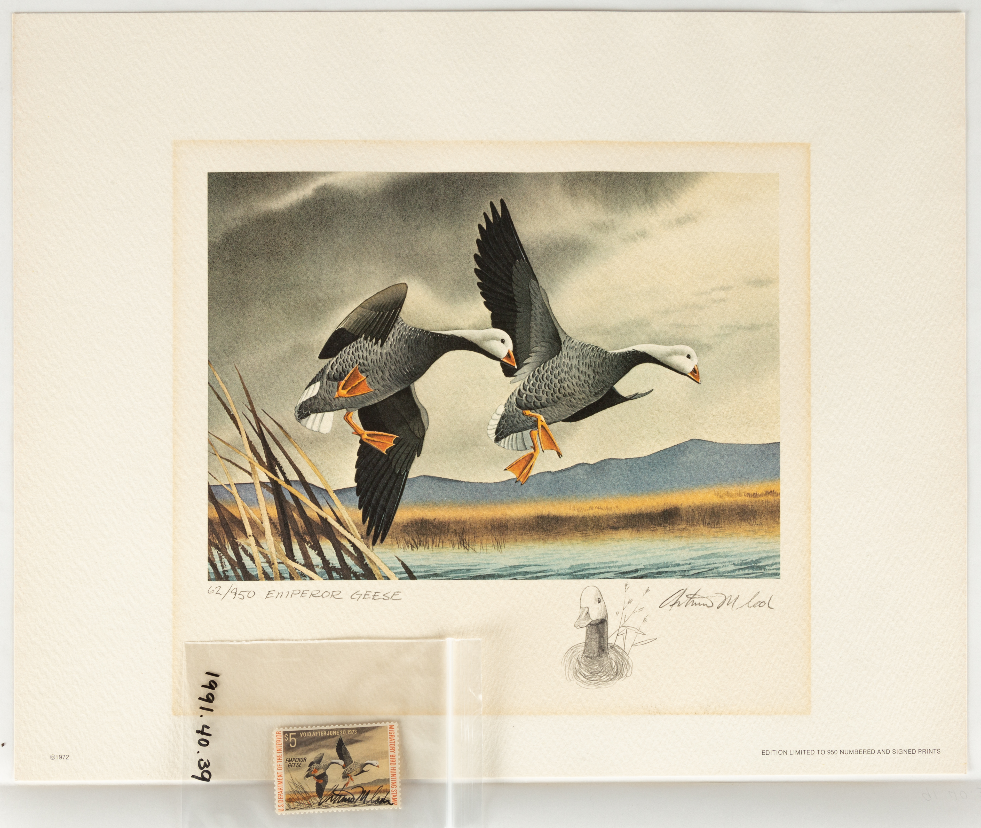 Appraisal: FEDERAL DUCK STAMPS LITHOGRAPHS Arthur Cook Emperor Geese Federal Duck