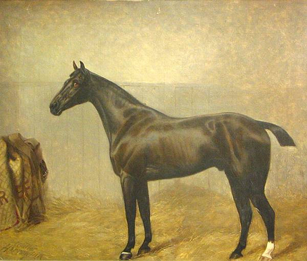 Appraisal: Walter Harrowing British A black horse in a stable signed