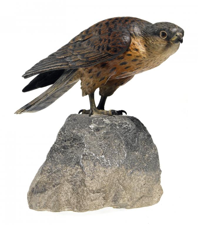 Appraisal: A VIENNESE COLD PAINTED BRONZE MODEL OF A KESTREL BY