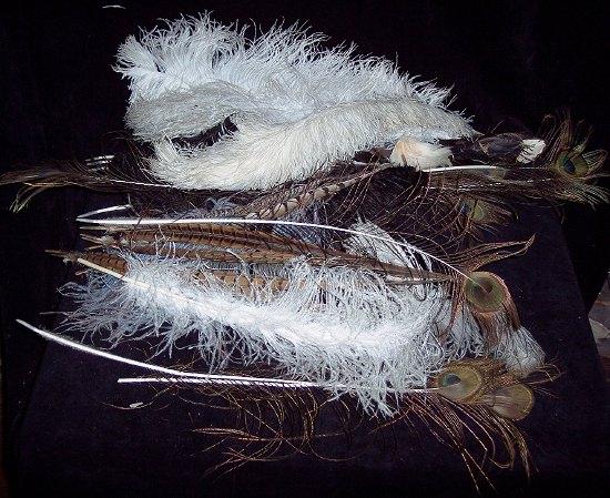 Appraisal: An assortment of feathers including ostrich peacock pheasant etc