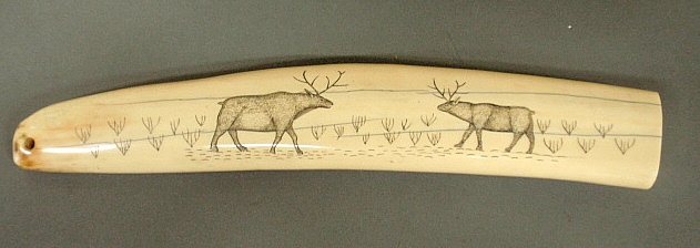 Appraisal: - Inuit scrimshaw walrus tusk th c with incised reindeer