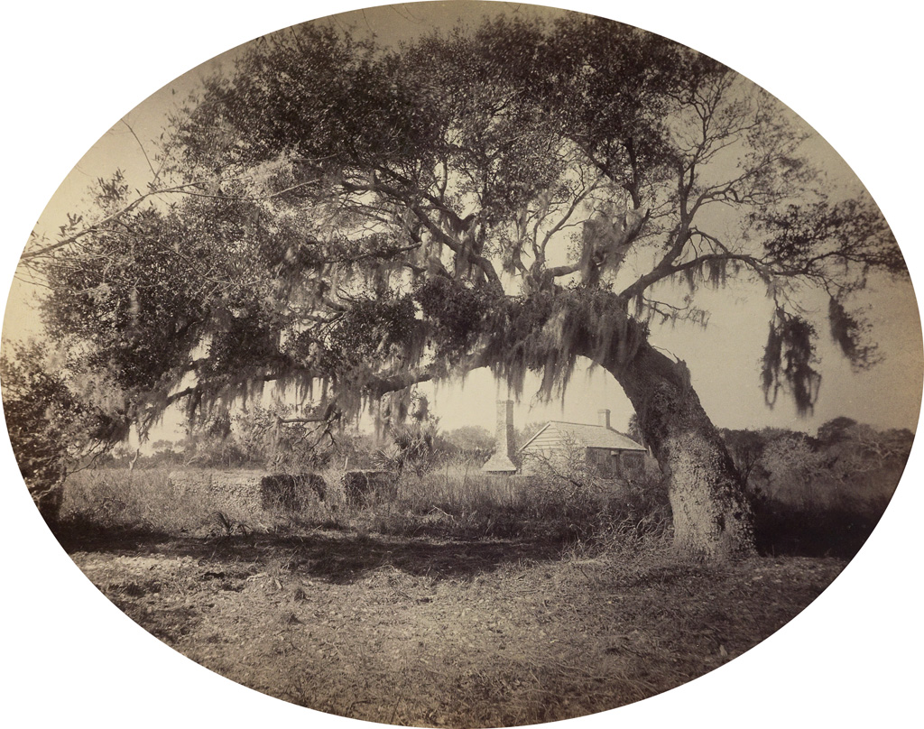 Appraisal: GEORGE BARKER - Old Slave Quarters St George Island Florida