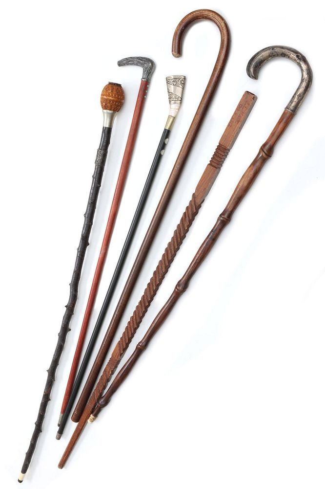 Appraisal: A COLLECTION OF CANES WALKING STICKS AND SIMILAR ITEMS The