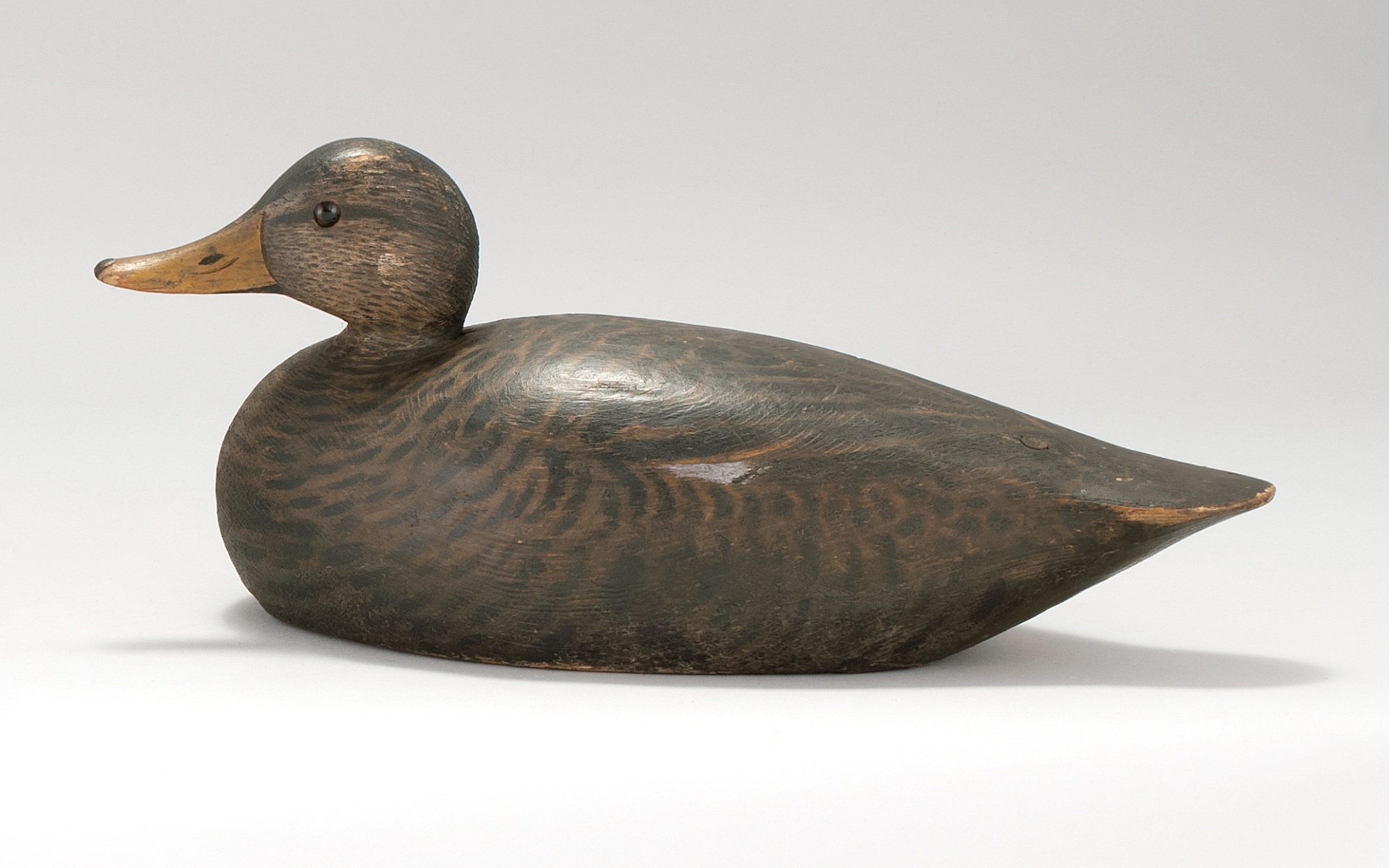 Appraisal: OVERSIZE BLACK DUCK DECOY Circa sBy A Elmer Crowell of