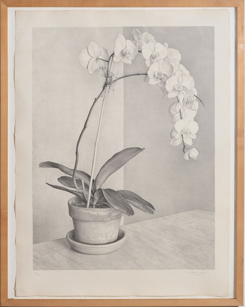 Appraisal: CLAUDIO BRAVO - ORCHID Lithograph on wove paper with full