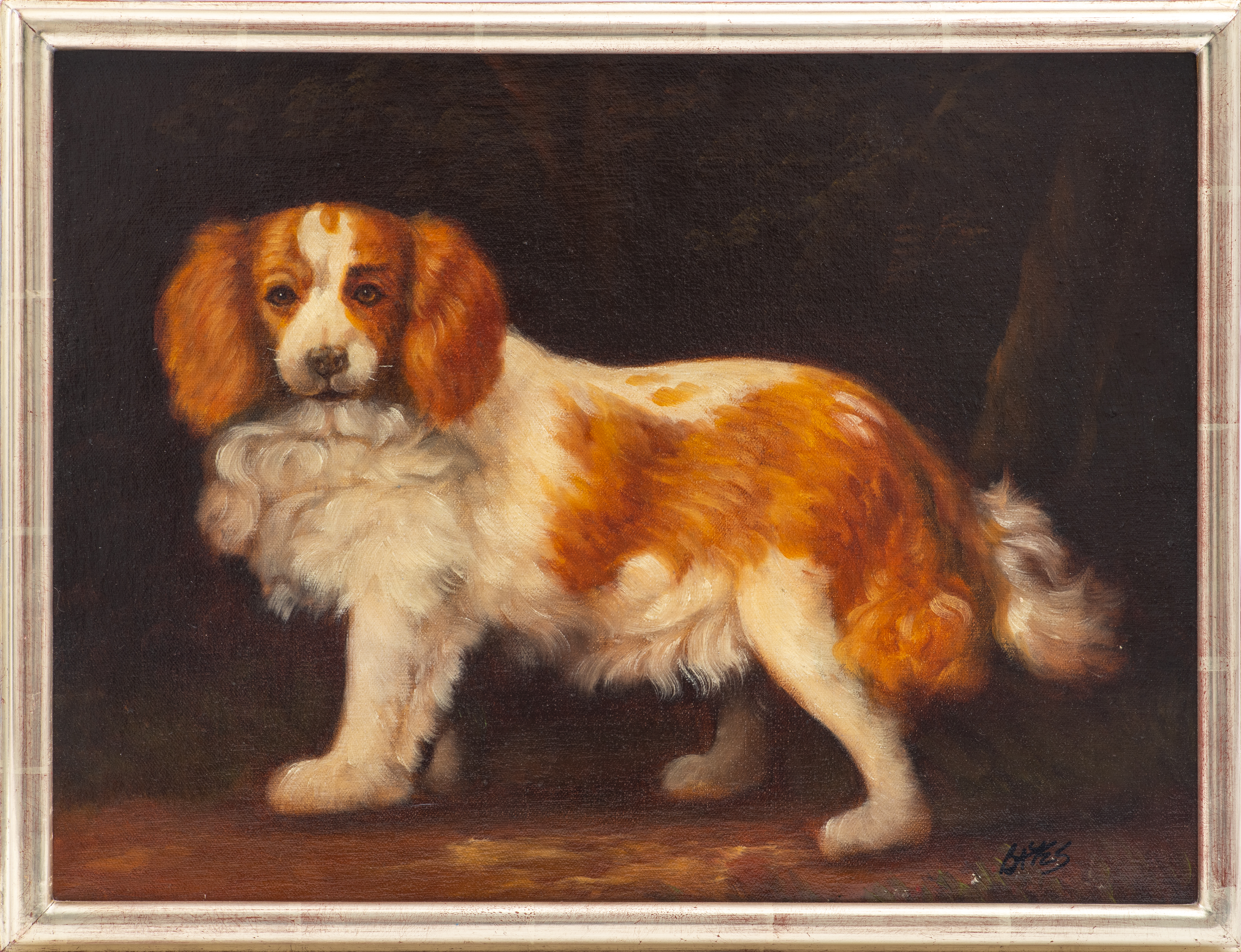 Appraisal: SIGNED PORTRAIT OF A SPANIEL OIL ON CANVAS Oil on