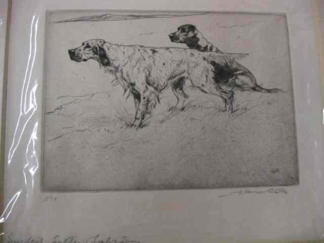 Appraisal: Lot of Dog Engravings Prints mostly matted some signed