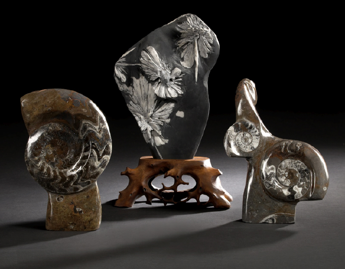 Appraisal: Sculptural Group of Two Ammonite Fossils in Matrix million years