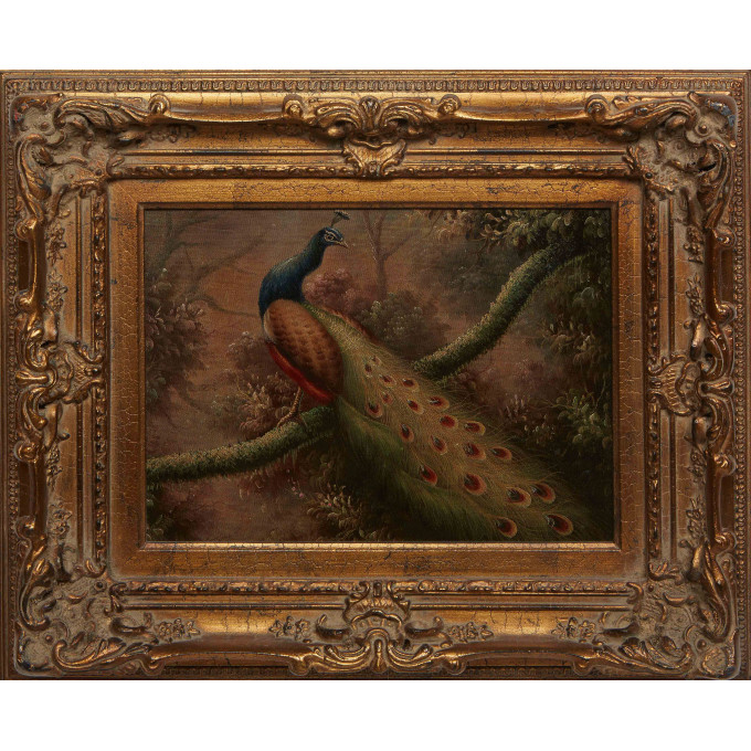 Appraisal: Chinese School Peacock st c oil on canvas unsigned presented