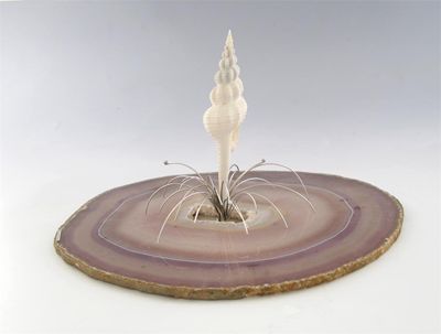 Appraisal: By Andrew Grima an ct white gold mounted natural shell