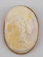 Appraisal: A yellow metal tests carat gold framed coral cameo brooch