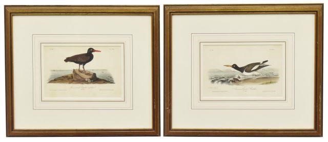 Appraisal: lot of Framed hand-colored ornithology lithographs on paper from the