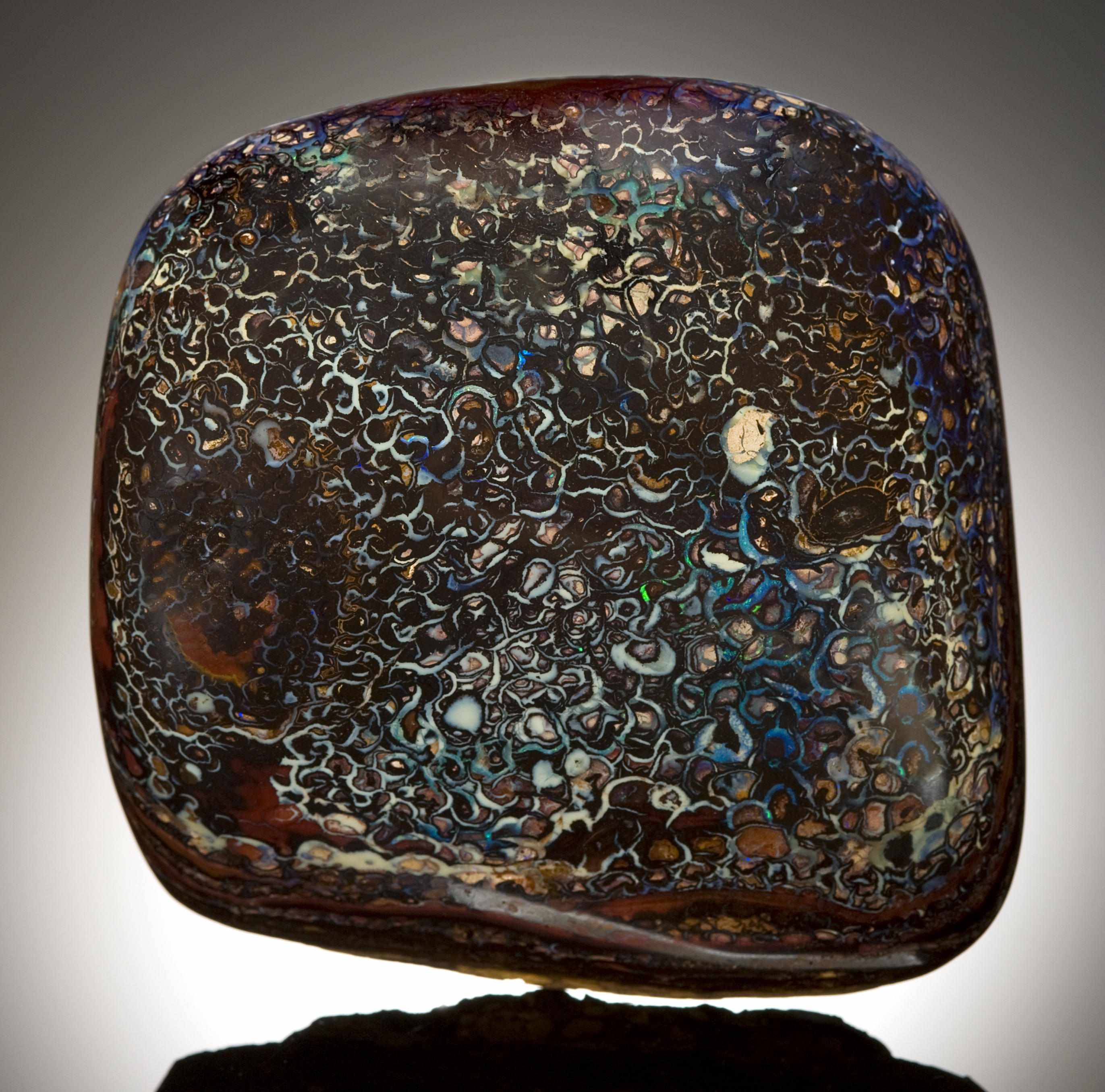 Appraisal: Property of a Southern California Collector Fine Boulder Opal Nodule