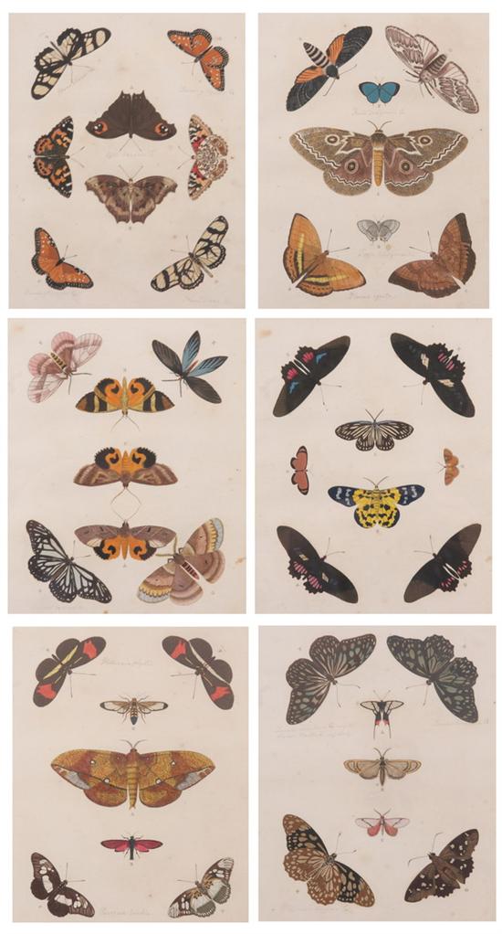 Appraisal: AFTER PIERRE CRAMER Dutch - Six hand-colored engravings of butterflies