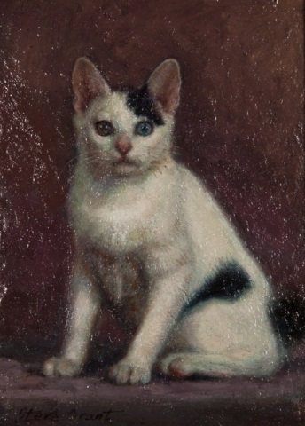 Appraisal: Stere Grant Cat oil on board American th st century