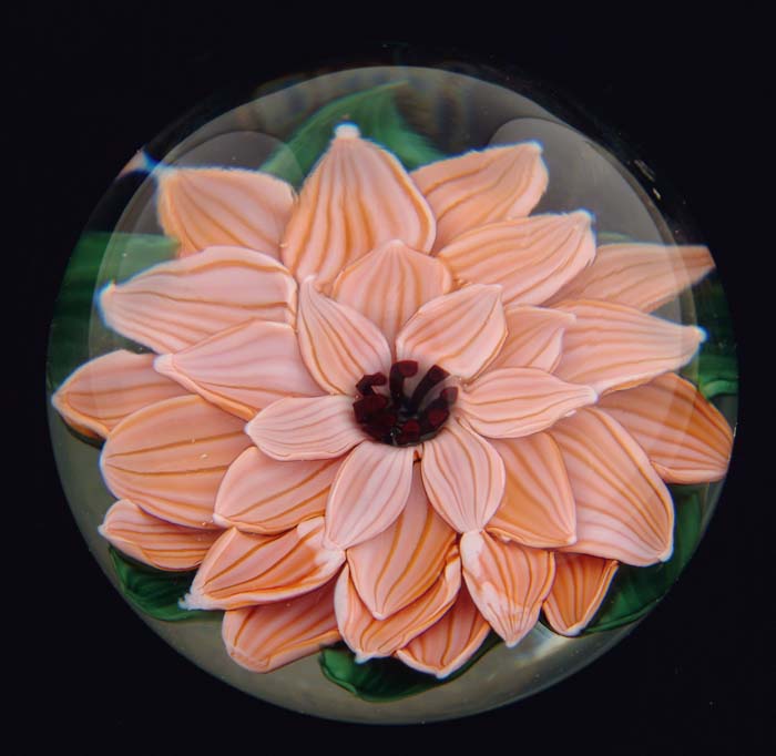 Appraisal: LUNDBERG STUDIOS PAPERWEIGHT Pink dahlia with four tiers of petals