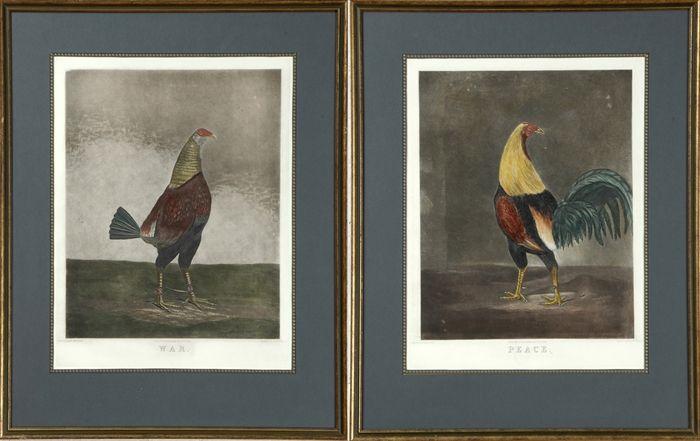 Appraisal: After Benjamin Marshall War and Peace Hand-colored aquatints matted and