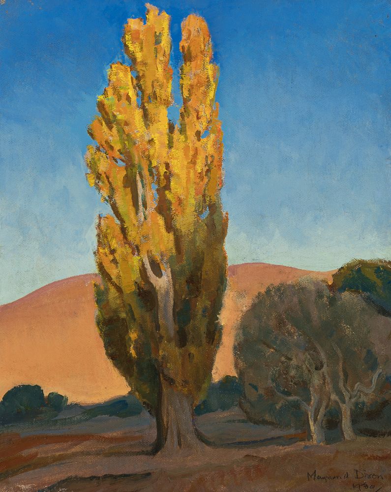 Appraisal: Maynard Dixon Shifting Light on a Poplar Maynard Dixon Shifting