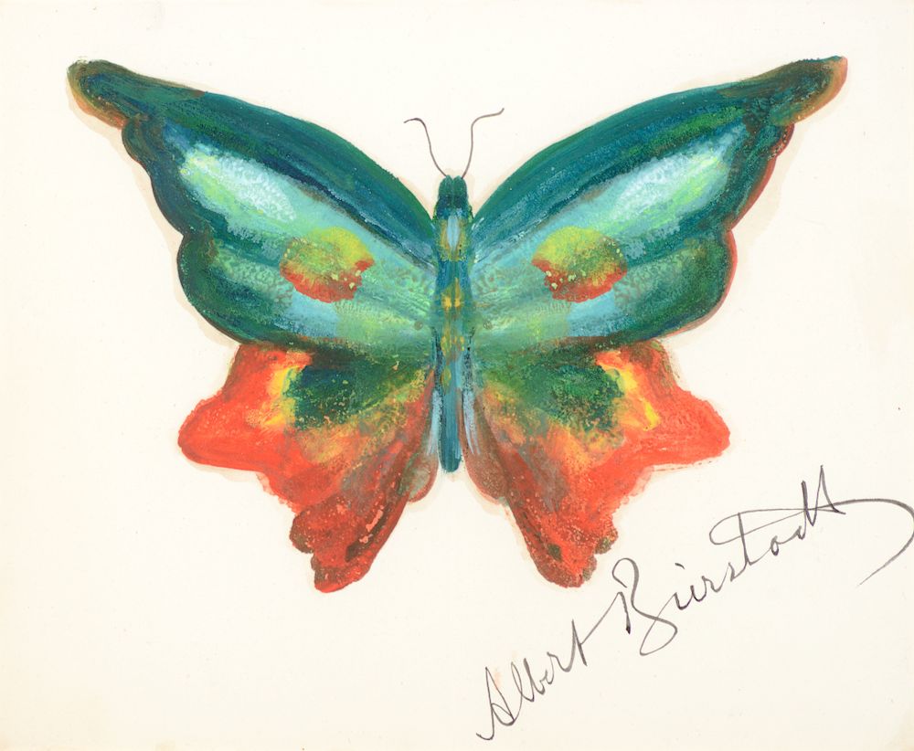 Appraisal: Albert Bierstadt Butterfly Exclusive on Bidsquare ALBERT BIERSTADT Butterfly oil