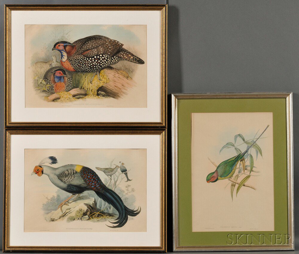 Appraisal: Gould John - Three Framed Prints Hand-colored lithographs on paper